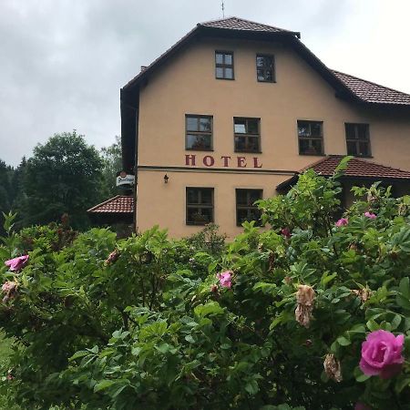 Horske Ubytovani Kralovsky Dvur Na Bilem Potoce Hamry  Exterior photo
