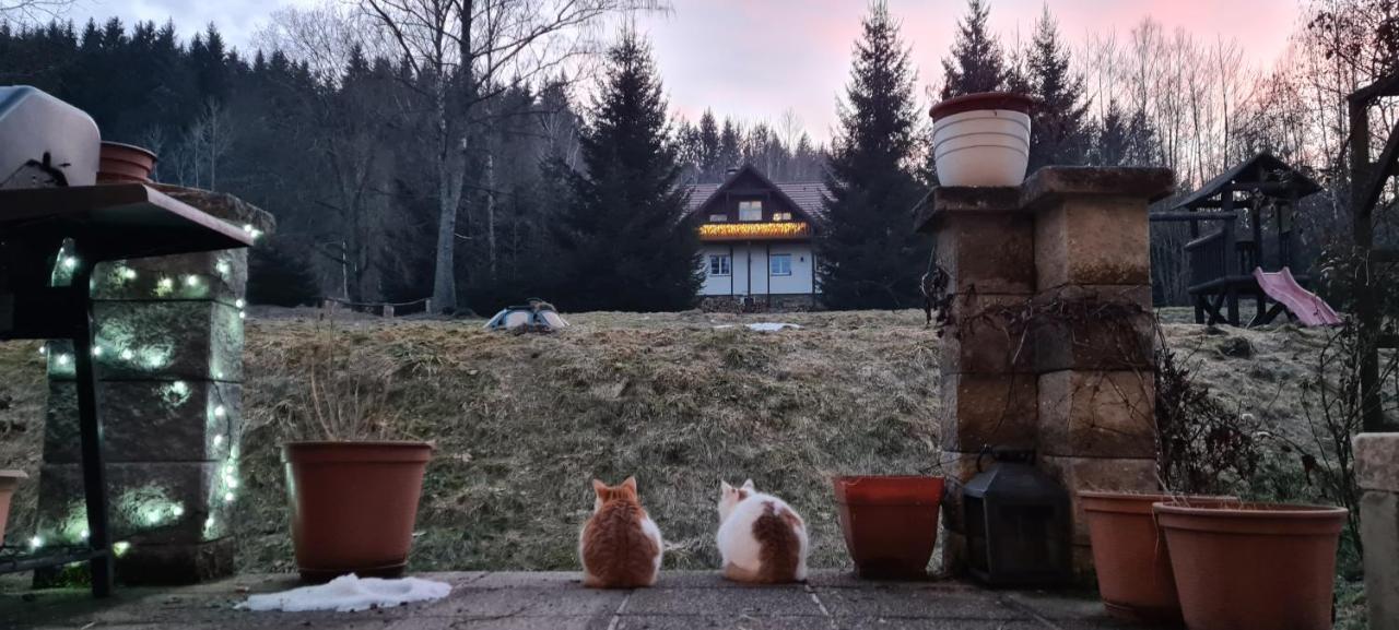 Horske Ubytovani Kralovsky Dvur Na Bilem Potoce Hamry  Exterior photo
